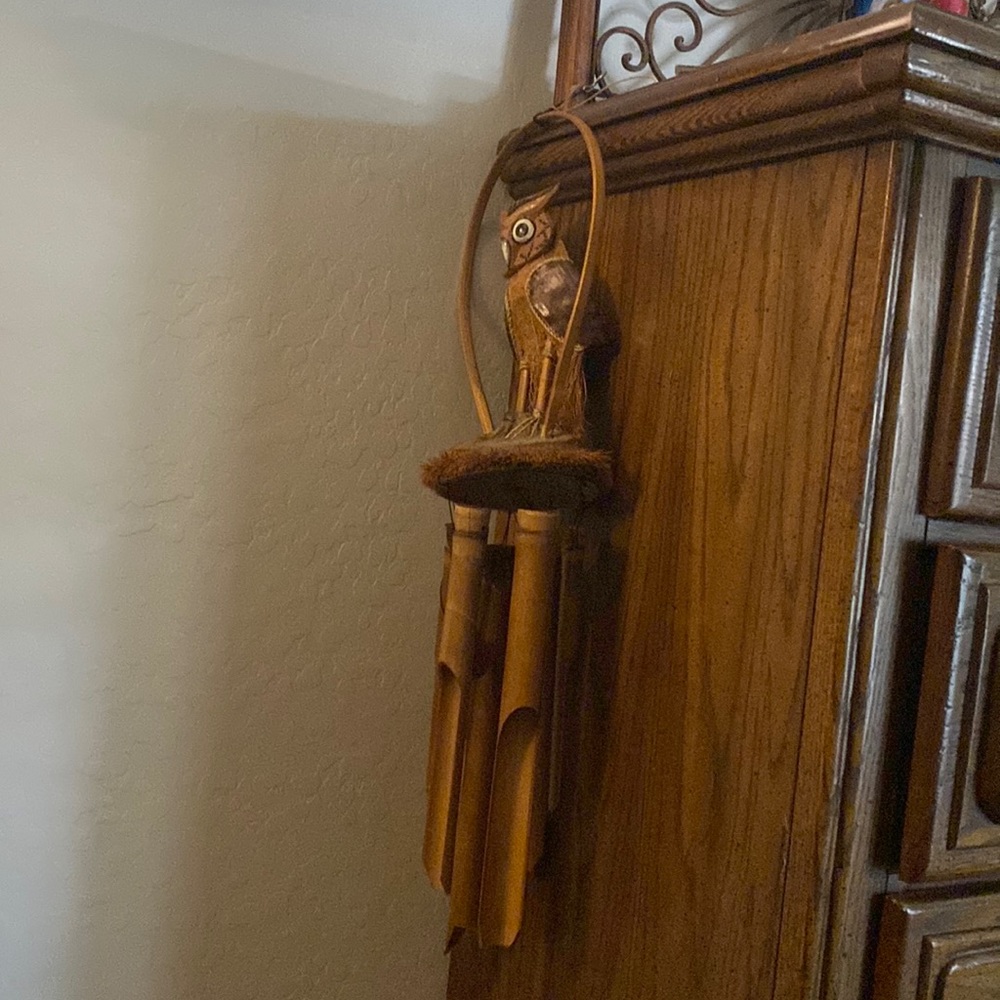 It’s a owl hanging decoration for inside or outside. it’s never been outside.